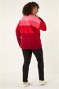 Red Curve Ombre Stripe Knit Jumper, Image 3 of 5