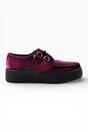 Burgundy TUK Footwear Burgundy Viva High Creeper Goth Shoes - AV8463, Image 1 of 7