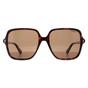 Brown Square Havana Bronze Polarized PLD 6219/S, Image 1 of 4