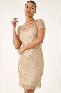 Natural  Sequin Sheer Shift Dress, Image 2 of 5