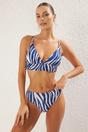 Multi Zebra Print Regular Waist Bikini Bottom with Clean Finish, Image 1 of 3