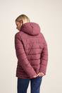 Burgundy Sleight Short Insulated Parka, Image 3 of 6