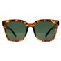 Brown Square Shiny Havana Soft Demi Green Polarized MP72, Image 1 of 4