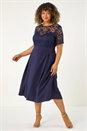 Navy  Curve Lace Detail Pleated Dress, Image 2 of 5