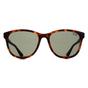 Brown Superdry Brown Square Matte Tortoise Green SDS-LIZZIE, Image 1 of 3