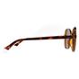 Brown Butterfly Havana Bronze Polarized PLD 4136/S, Image 4 of 4