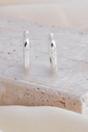 Silver Sterling Silver Engraved Starburst Hoops, Image 3 of 4