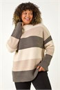 Natural  Curve Colour Block Stripe Knit Jumper, Image 1 of 7