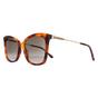 Brown Jimmy Choo Brown Cat Eye Havana Brown Gradient MACI/S, Image 2 of 4