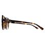Brown Michael Kors Brown Square Dark Tortoise Brown Gradient MK2196U Jasper, Image 3 of 4