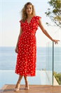 Red Polka Dot Frill Fit & Flare Dress, Image 1 of 4