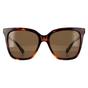 Brown Square Havana Bronze Polarized PLD 4155/S/X, Image 1 of 4