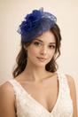 Navy Feather Floral Mesh Fascinator in Navy, Image 1 of 2