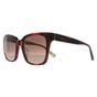 Brown Kate Spade Brown Square Havana Brown Gradient Harlow/G/S, Image 2 of 4