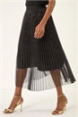Black Shimmer Mesh Pleated Skirt, Image 1 of 5