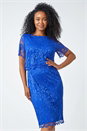 Blue Petite Lace Overlay Stretch Dress, Image 1 of 5