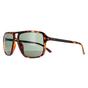 Brown Aviator Dark Havana Green GF5085, Image 2 of 4