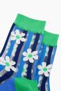 Multi Daisy Stripes Combed Cotton Sheer Pop Socks in Green, Image 2 of 4