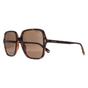 Brown Square Havana Bronze Polarized PLD 6219/S, Image 2 of 4