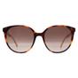 Brown Oval Havana Brown Gradient Kimberlyn/G/S, Image 1 of 4