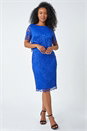 Blue Petite Lace Overlay Stretch Dress, Image 2 of 5
