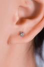 Silver Sterling Silver Star Burst Studs, Image 2 of 2