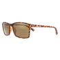 Brown Montana Brown Rectangle Brown Turtle Rubbertouch Brown Polarized Sunglasses, Image 2 of 4