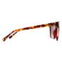 Red Radley Red Square Transparent Burgundy Brown Allington 6506, Image 4 of 4