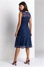 Navy  Glitter Lace Fit & Flare Skater Dress, Image 2 of 4