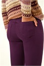 Plum 31'' Denim Stretch Jegging , Image 5 of 5