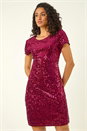 Wine Dusk Sequin Velvet Shift Dress, Image 4 of 5