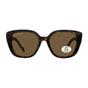 Brown Montana Brown Square Tortoise Brown Polarized MP180, Image 1 of 3