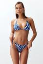 Multi Zebra Pattern Triangle Adjustable Strap Bikini Top, Image 1 of 3