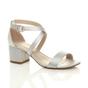 Silver AJVANI Silver Mid Block Heel Crossed Straps Sandals, Image 1 of 6