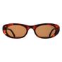 Brown Oval Shiny Brown Tortoise Gold Brown Noctis, Image 1 of 3