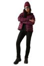 Black Dare 2B Black Assert Hiking Trousers, Image 7 of 7