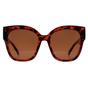 Brown Montana Brown Square Shiny Tortoise Brown Polarized MP73, Image 1 of 4