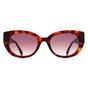 Brown Ted Baker Brown Oval Tortoise Brown Gradient TB1737, Image 1 of 3