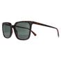 Brown Square Havana Green Polarized PLD 4163/S, Image 2 of 4