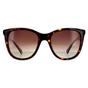 Brown Polaroid Brown Square Havana Brown Brown Gradient Polarized, Image 1 of 4
