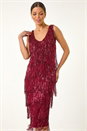 Red Sequin Tassel Flapper Midi Dress, Image 6 of 7