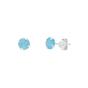 Silver Sterling Silver Glittering Blue Stud Earring, Image 1 of 4
