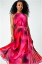 Pink Petite Halterneck Pleated Maxi Dress, Image 1 of 5