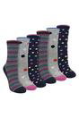 Multi 6 Pairs Ladies Spots and Stripe Patterned Socks- Soft Cotton Rich Everyday Socks, Image 1 of 2