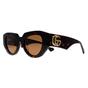 Brown Cat Eye Shiny Dark Havana Brown GG1421S, Image 2 of 4