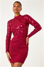 Wine Embellished High Neck Knit Dress, Image 2 of 5