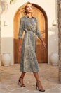  Animal Print Midi Shirt Dress, Image 2 of 4