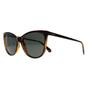 Brown Cat Eye Havana Green Polarized PLD 4179/S, Image 2 of 4