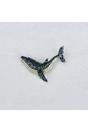Blue Whale Brooch, Image 2 of 4
