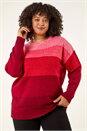 Red Curve Ombre Stripe Knit Jumper, Image 4 of 5